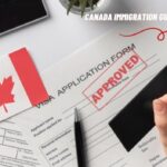 Navigating the Complexities of Entry Requirements and Online Canada Visa Application